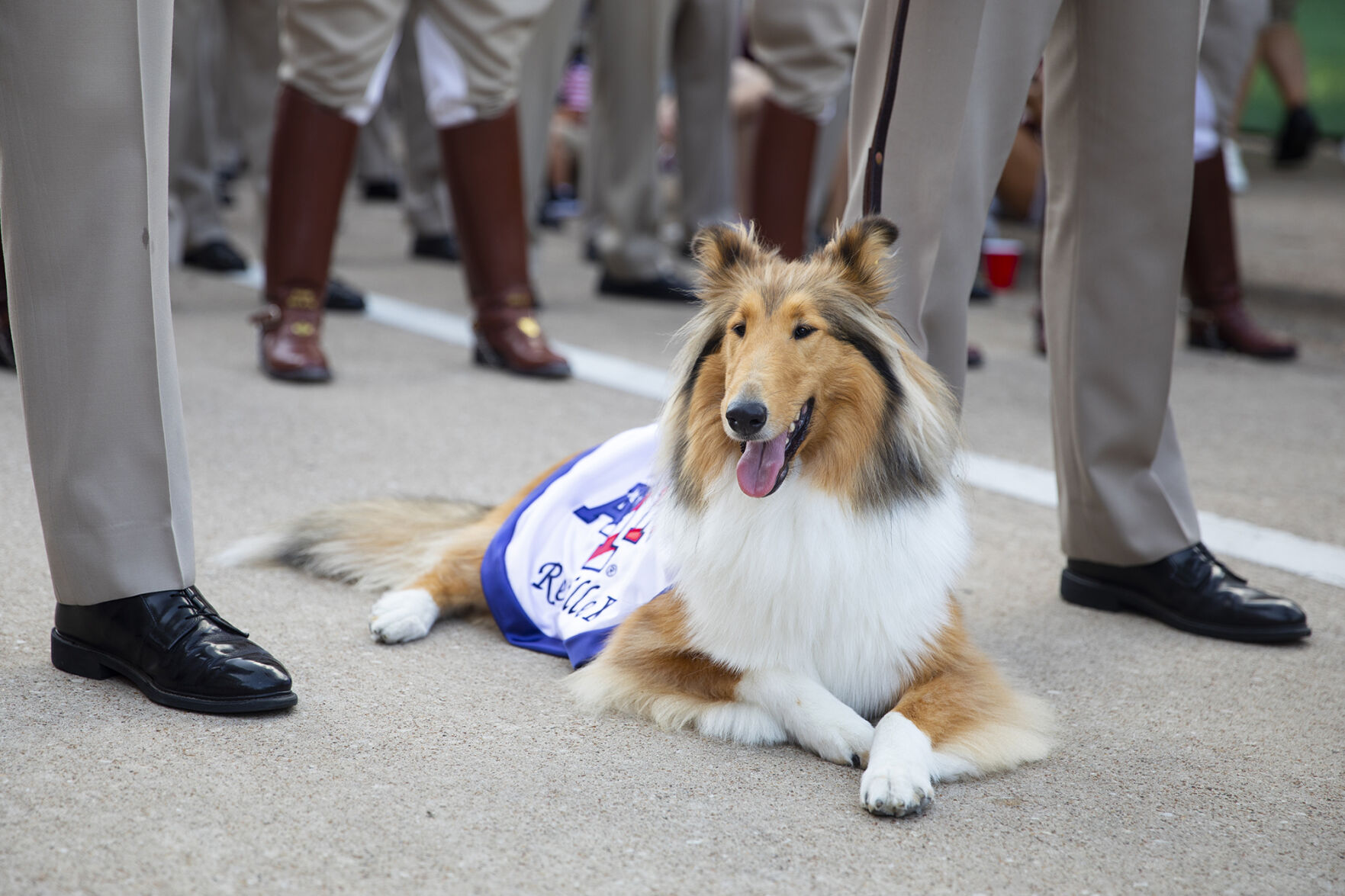 Reveille X